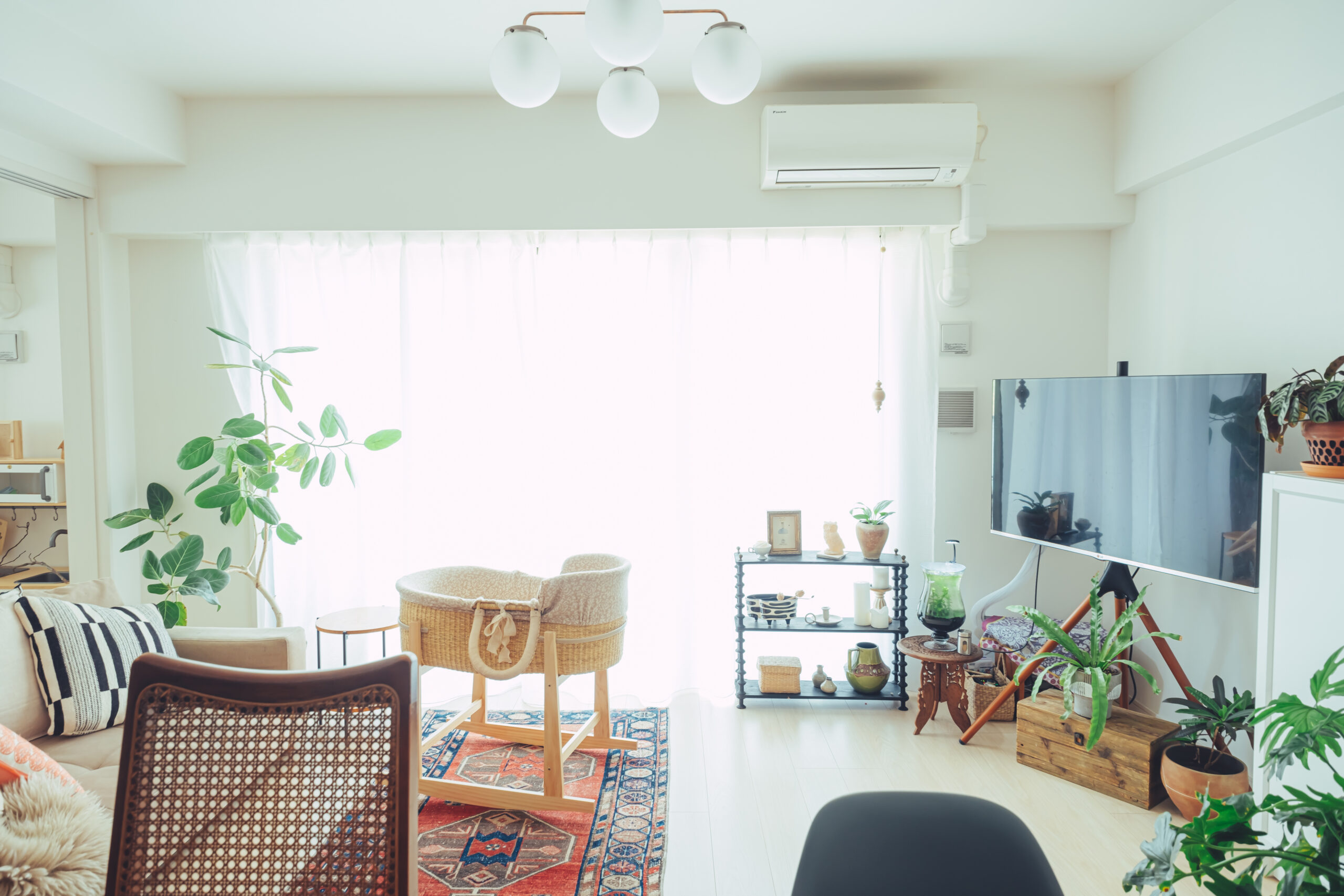 橙色の蘭の咲く部屋 5